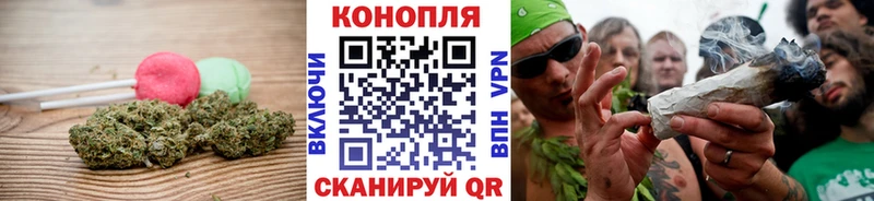 Купить  Большой Камень  Canna-Cookies конопля 