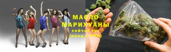 дживик Богородицк