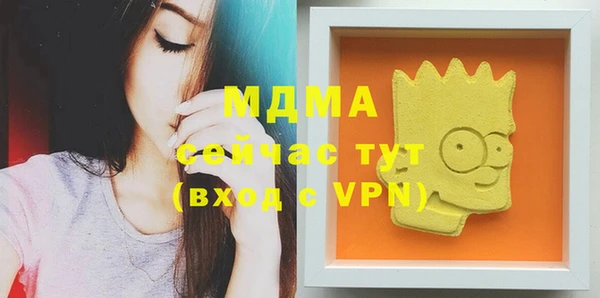дживик Богородицк