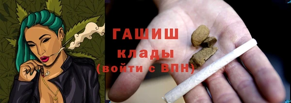 дживик Богородицк