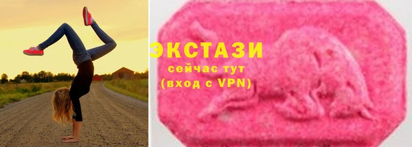 дживик Богородицк