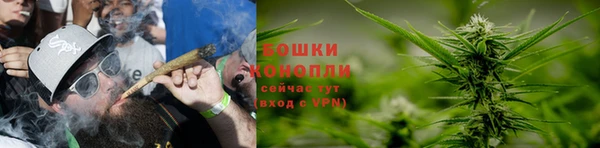 дживик Богородицк