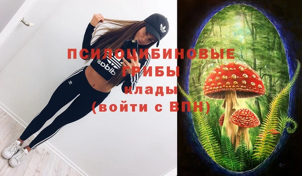 амфетамин Богданович