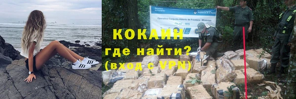 дживик Богородицк