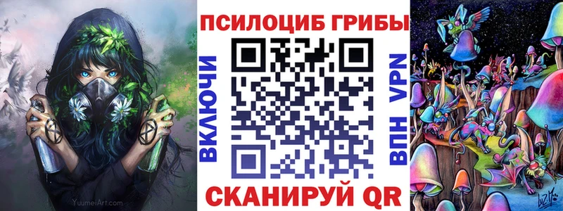 Купить закладки  Большой Камень  Галлюциногенные грибы Cubensis 
